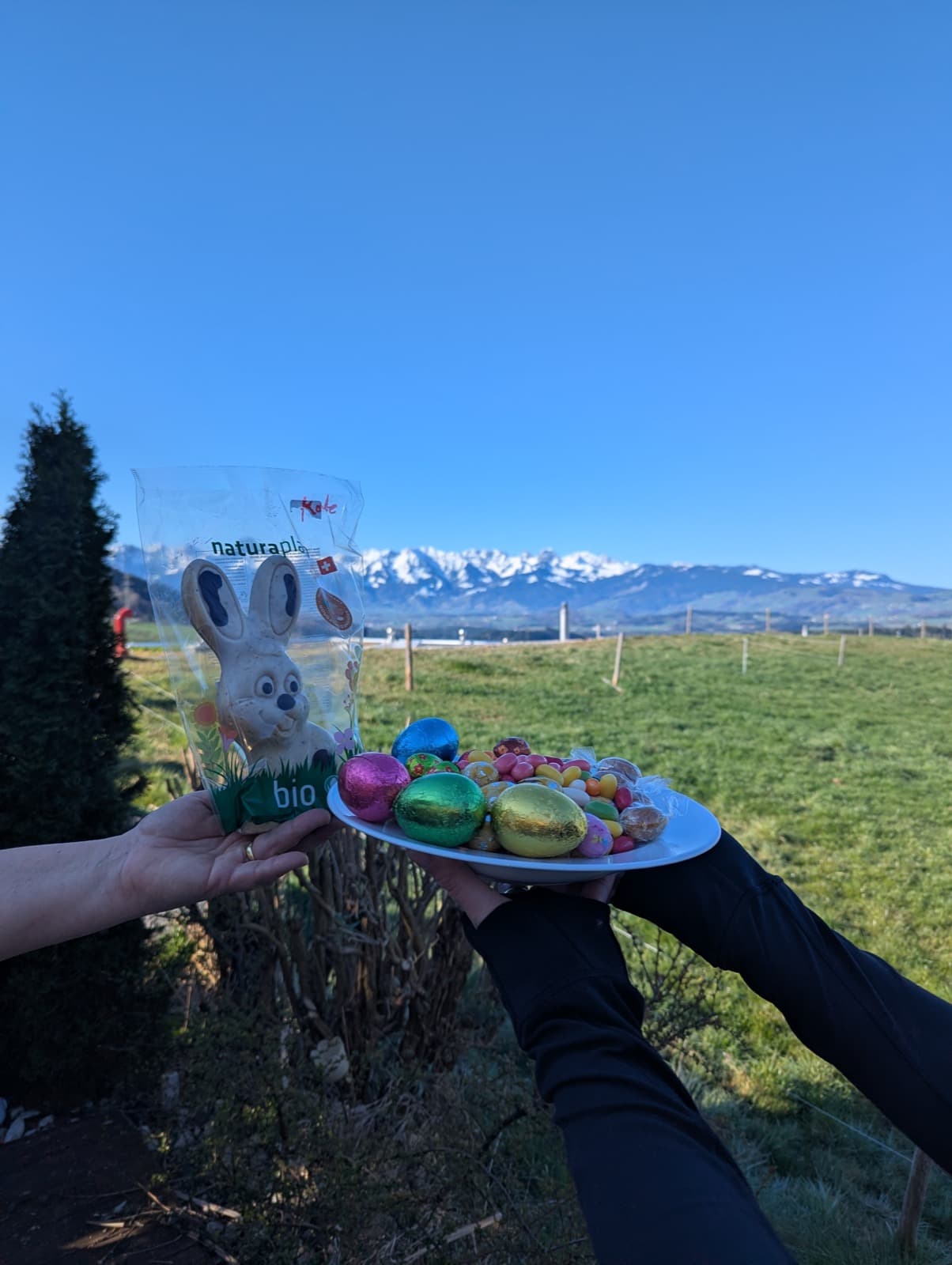 Our easter egg hunt 