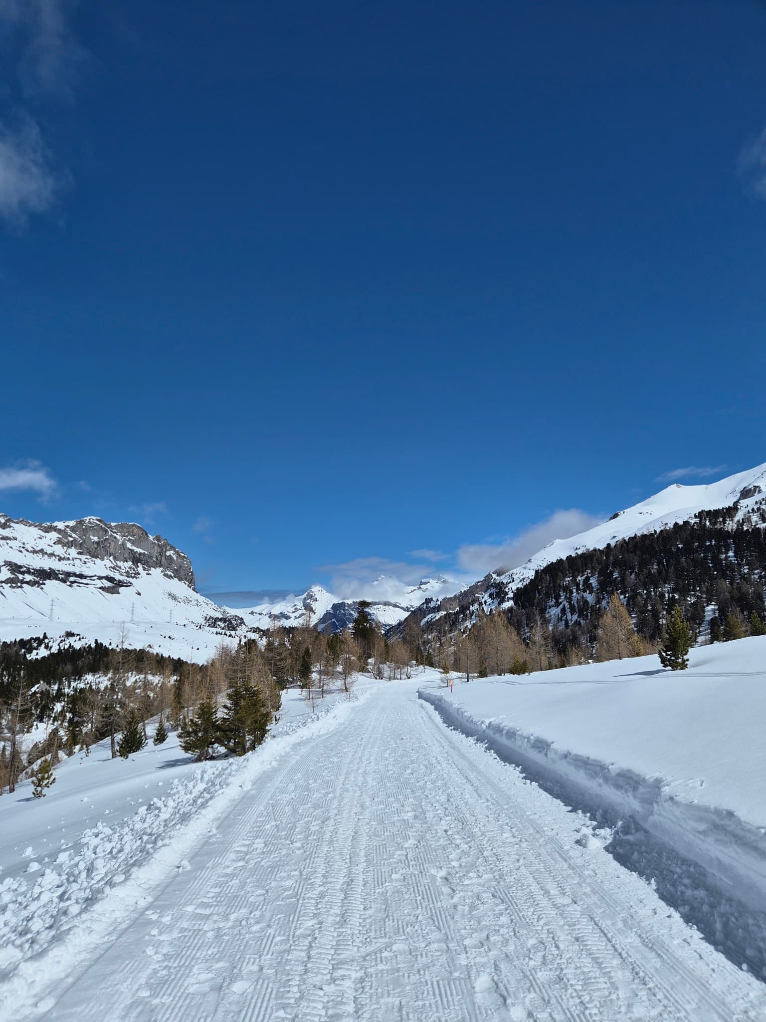 Snowy hike