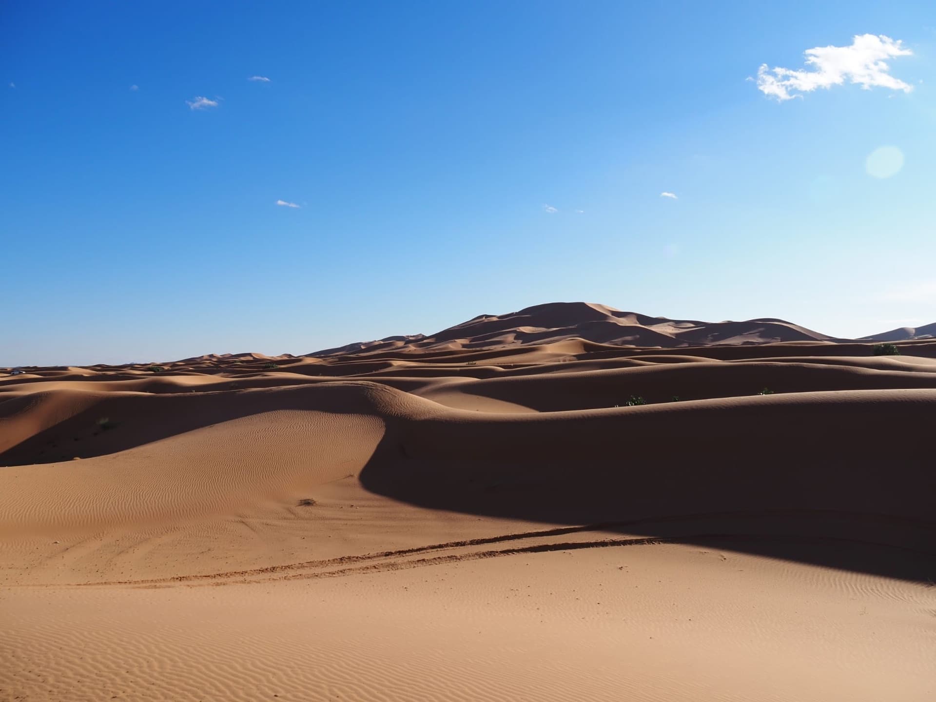 Undulating dunes of the Erg Chebbi desert