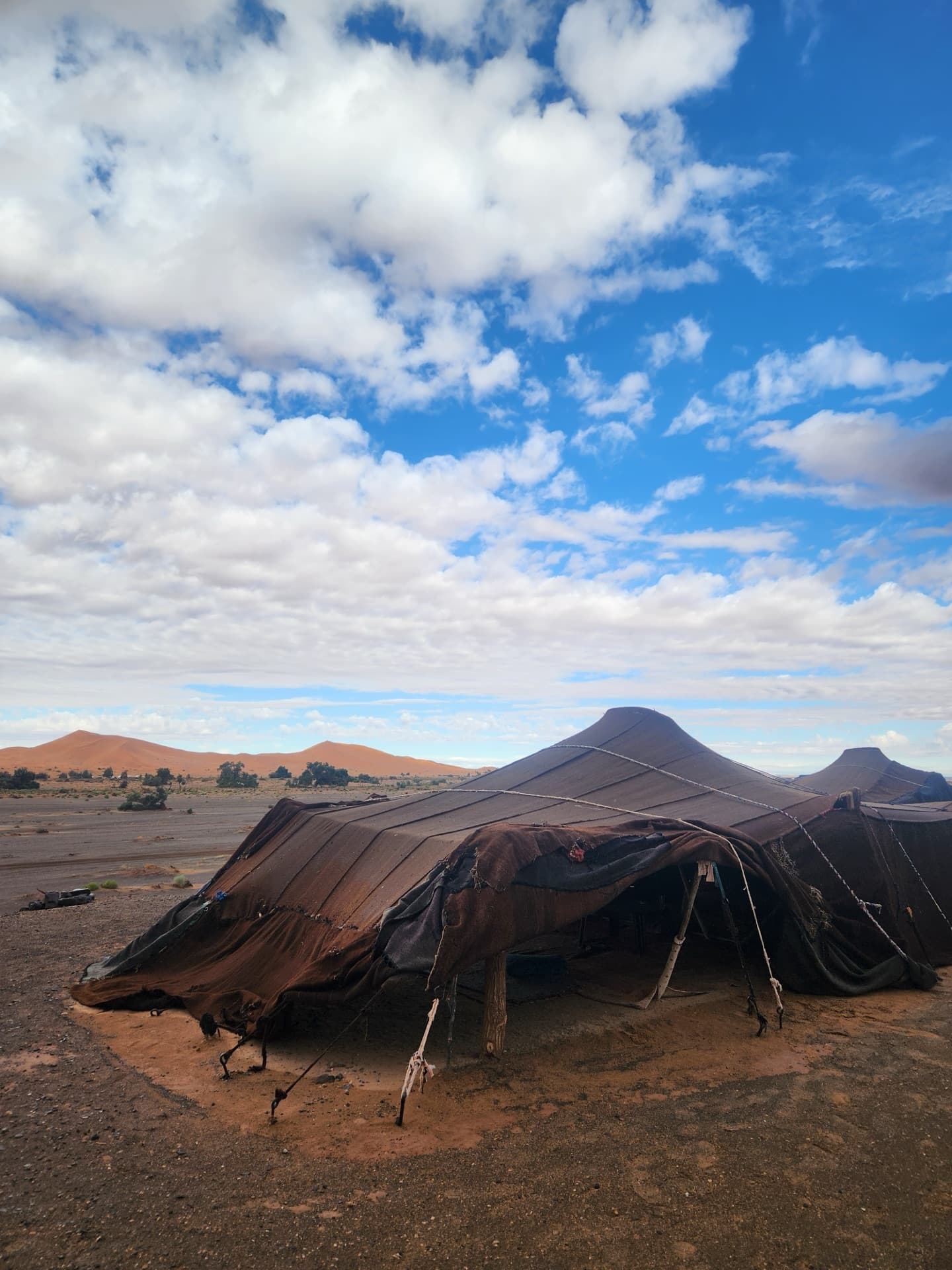 Inside a nomad's camel-skin tent in the Sahara
